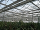 55٪ پارچه سایه ضد آفتاب برای گیاهان صفحه آلومینیوم سایه خالص صرفه جویی در انرژی صفحه گلخانه