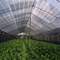 Green Anti Uv HDPE Sun Shade Net برای گیاهان باغ خانگی بالکن