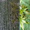 ضد آب باران Agro Green Shade Net 70 درصد مقاوم در برابر اشعه ماورا بنفش
