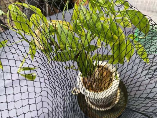 استخر Anti Heron Koi Fish Pond Net Protection 15ft X 20ft Hdpe