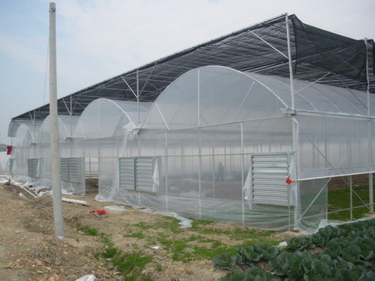 Outdoor Plant Nursery HDPE Shade Netting Horticultural Agro Protection Sun 80٪