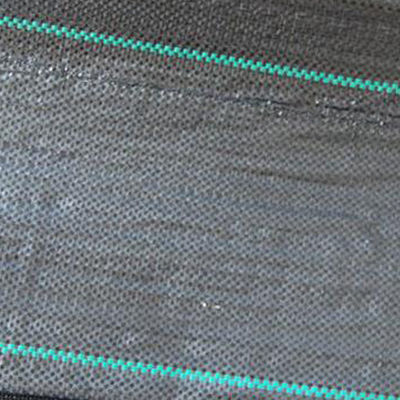 3m Wide Landscaping Grade Industrial Grade Wearing Mating 3x 50 برای باغ سبزیجات