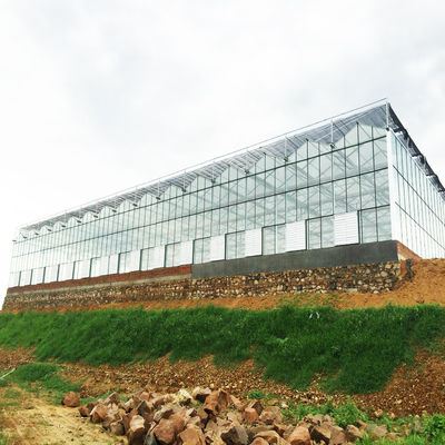 95 Windbreak Green Agro Shade Neting HDPE Shade Fabric