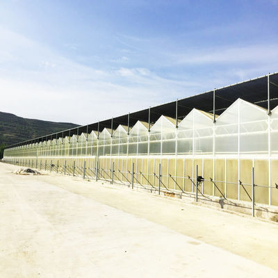 90 درصد Uv تحت درمان با Agro Shade برای سبزیجات کشاورزی است