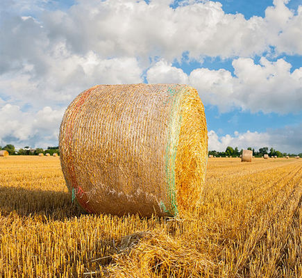 8.33GSM Bale Net Wrap Plastic Anti UV با خط اخطار